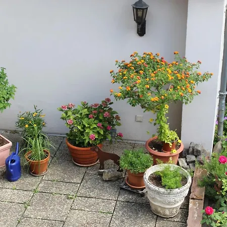 公寓 Auszeit Im Rheingau *