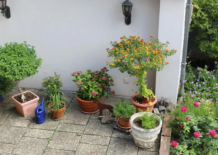 Apartmán Auszeit Im Rheingau *