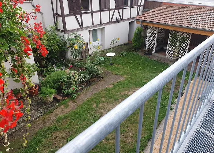 Auszeit Im Rheingau エルトフィレ