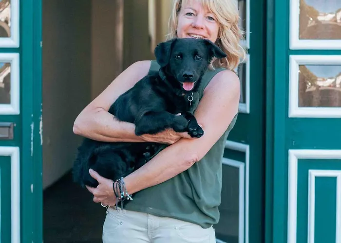 Auszeit Im Rheingau アパート