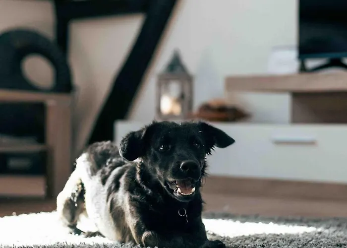 アパート Auszeit Im Rheingau